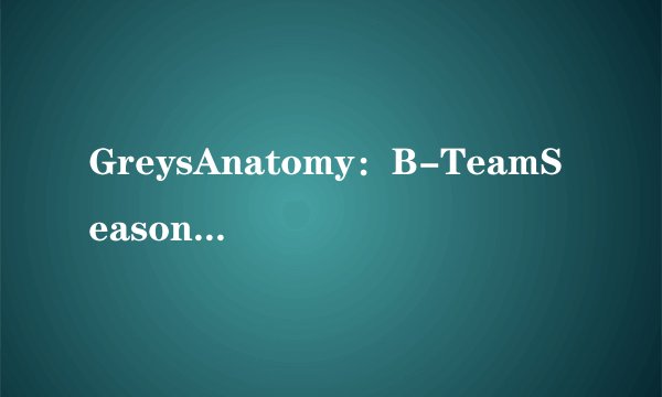GreysAnatomy:B-TeamSeason1剧情介绍