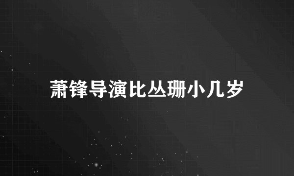 萧锋导演比丛珊小几岁