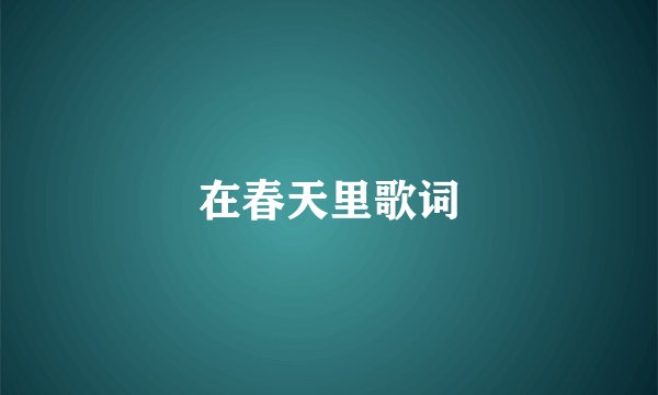 在春天里歌词