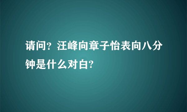 请问？汪峰向章子怡表向八分钟是什么对白?