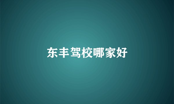 东丰驾校哪家好