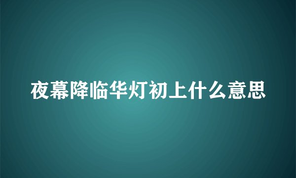 夜幕降临华灯初上什么意思