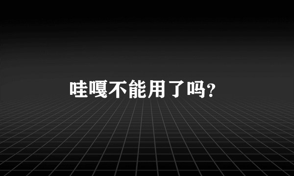 哇嘎不能用了吗？