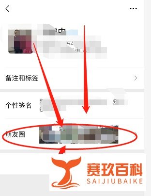 微信怎么查看单向好友