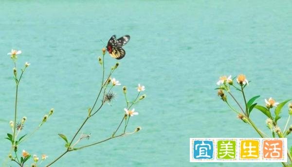 15张普通人拍出来的好照片:最后一张能拍到,运气实在是太好了