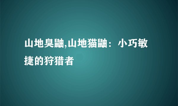 山地臭鼬,山地猫鼬:小巧敏捷的狩猎者