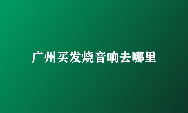 广州买发烧音响去哪里
