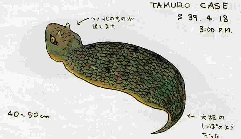 幻之蛇的介绍