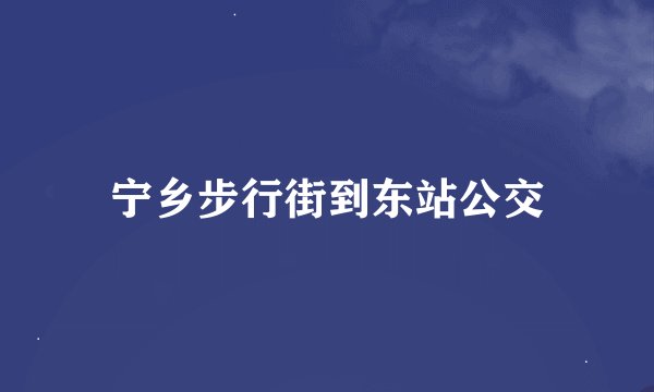 宁乡步行街到东站公交