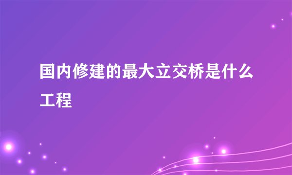 国内修建的最大立交桥是什么工程