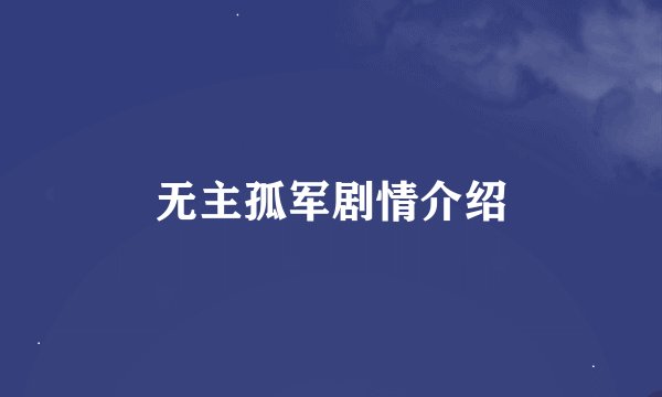 无主孤军剧情介绍