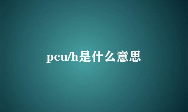 pcu/h是什么意思