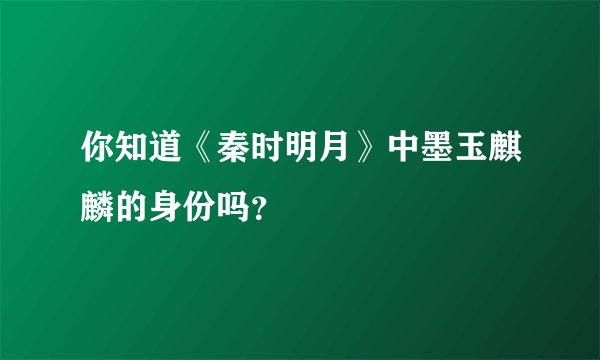 你知道《秦时明月》中墨玉麒麟的身份吗?