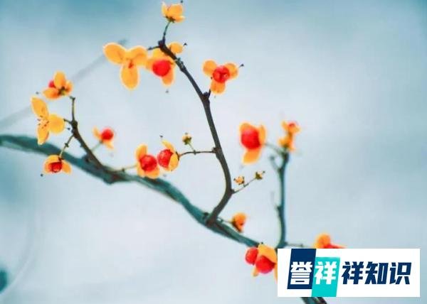 识人：身上有这5个特点的人，城府不浅