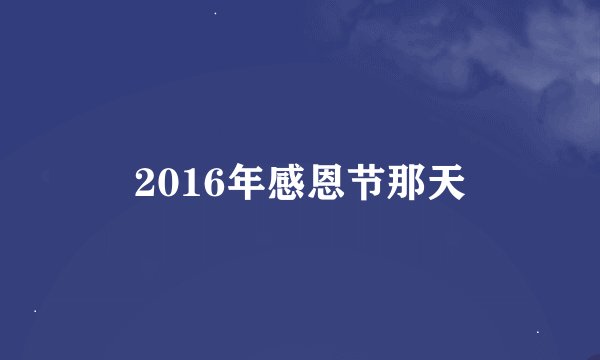 2016年感恩节那天