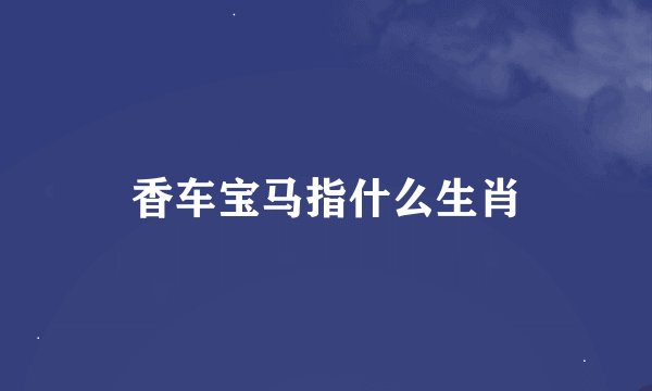 香车宝马指什么生肖