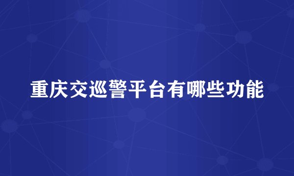 重庆交巡警平台有哪些功能
