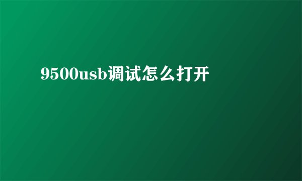 9500usb调试怎么打开