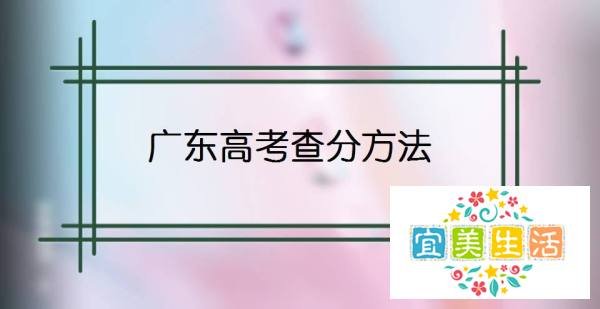 广东高考查分方法