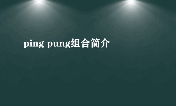 ping pung组合简介