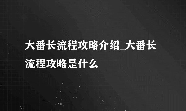 大番长流程攻略介绍_大番长流程攻略是什么
