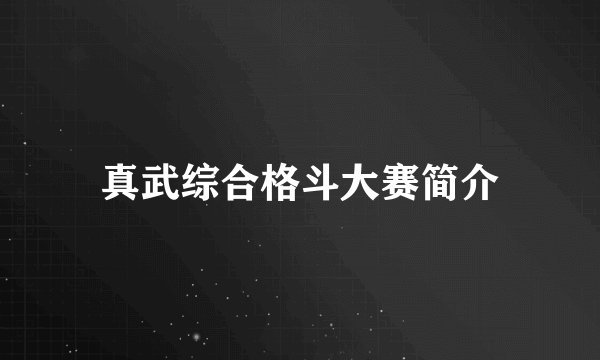 真武综合格斗大赛简介