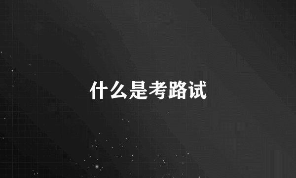 什么是考路试