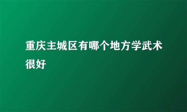 重庆主城区有哪个地方学武术很好
