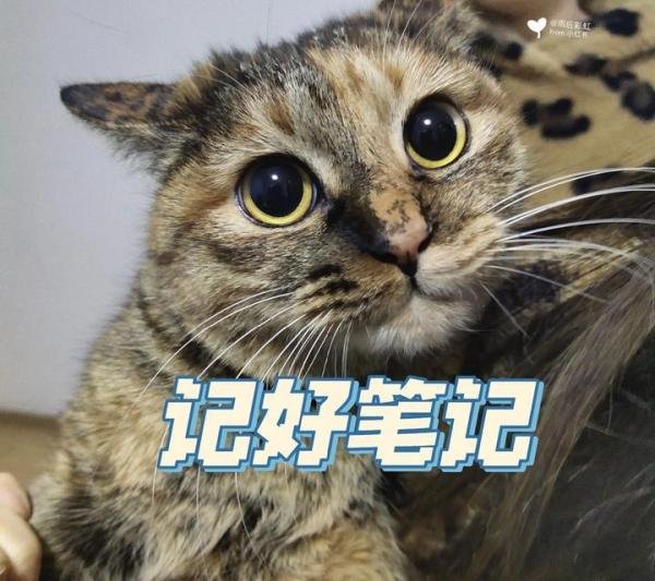 武汉家政阿姨薪资完整版来啦