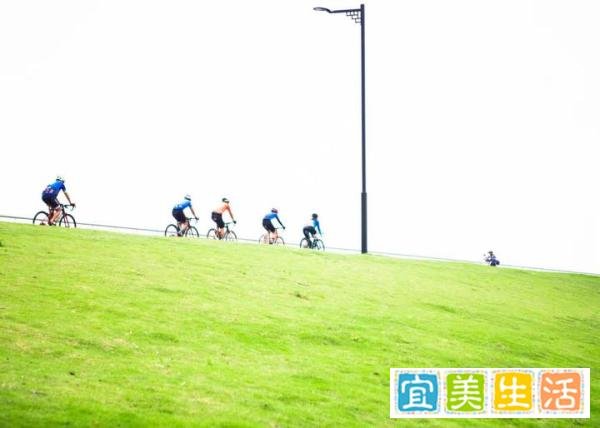 15张普通人拍出来的好照片:最后一张能拍到,运气实在是太好了