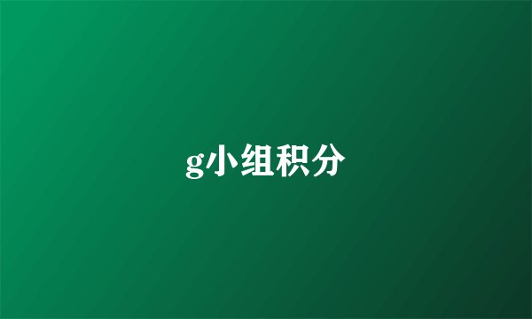 g小组积分
