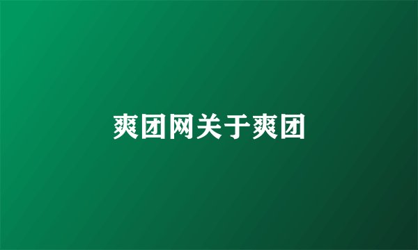 爽团网关于爽团