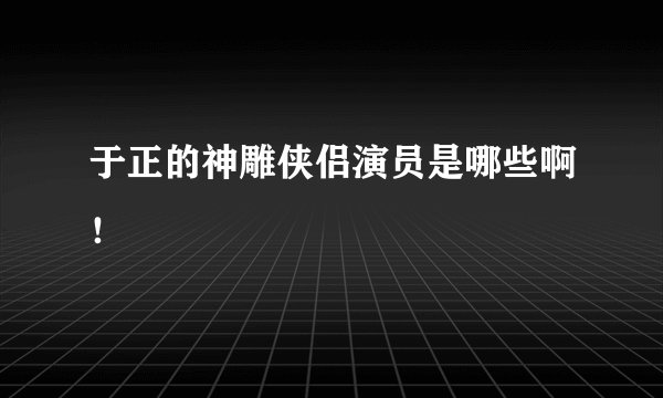 于正的神雕侠侣演员是哪些啊！