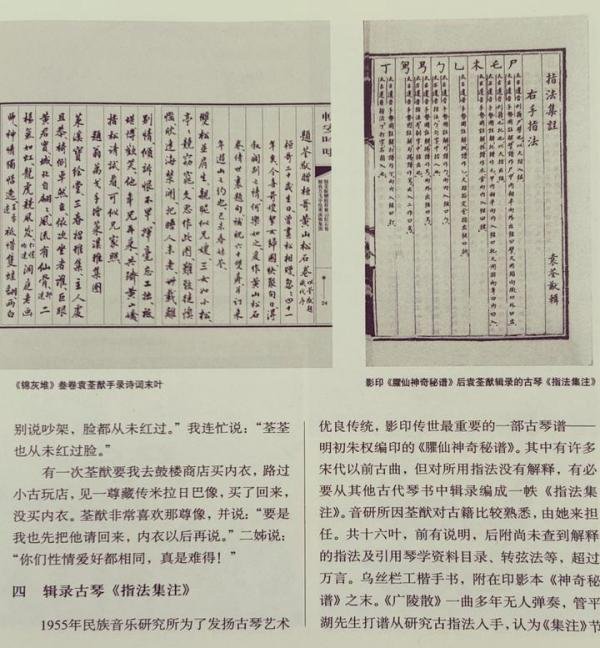一枚典型才女,读《锦灰不成堆》感1