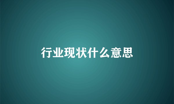 行业现状什么意思