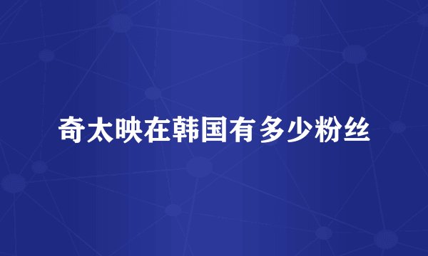 奇太映在韩国有多少粉丝