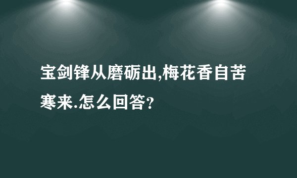宝剑锋从磨砺出,梅花香自苦寒来.怎么回答?