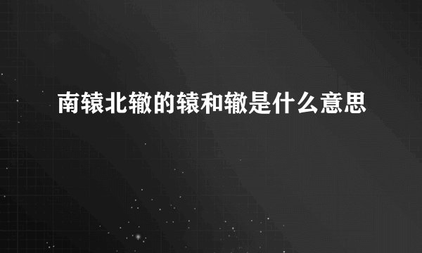 南辕北辙的辕和辙是什么意思