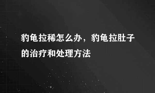 豹龟拉稀怎么办，豹龟拉肚子的治疗和处理方法