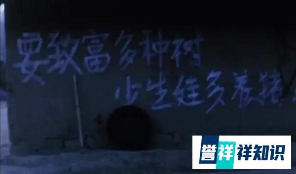 影评|《盲山》:山能盲,但人心不能盲啊!