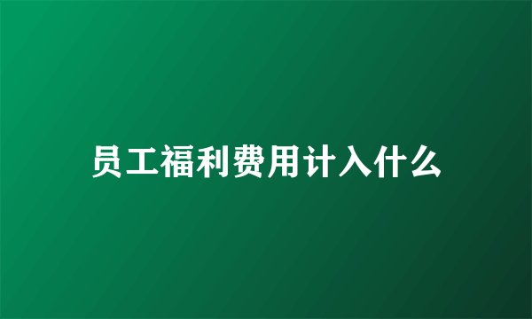 员工福利费用计入什么