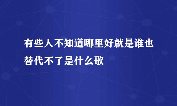 有些人不知道哪里好就是谁也替代不了是什么歌