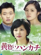 黄手帕剧情分集介绍