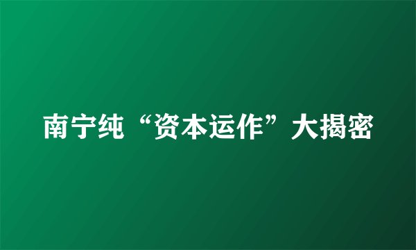 南宁纯“资本运作”大揭密