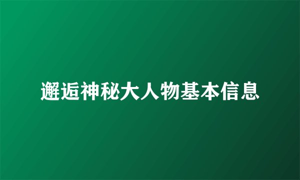 邂逅神秘大人物基本信息