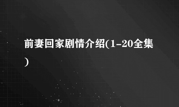 前妻回家剧情介绍(1-20全集)