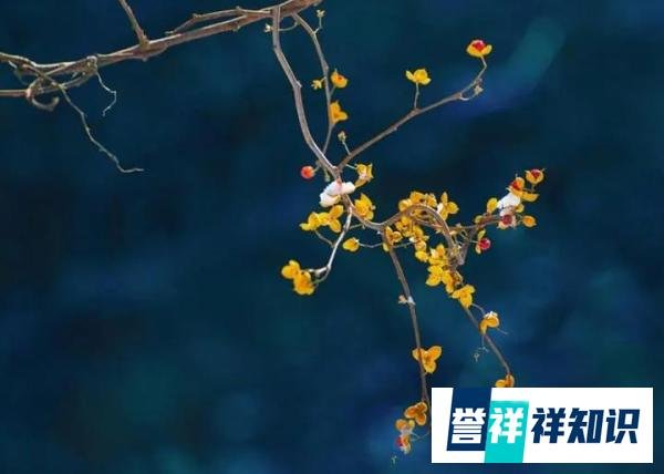 识人：身上有这5个特点的人，城府不浅