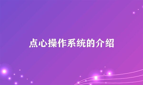 点心操作系统的介绍