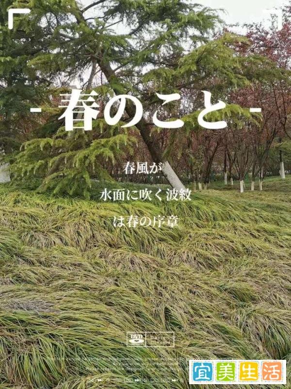 15张普通人拍出来的好照片:最后一张能拍到,运气实在是太好了