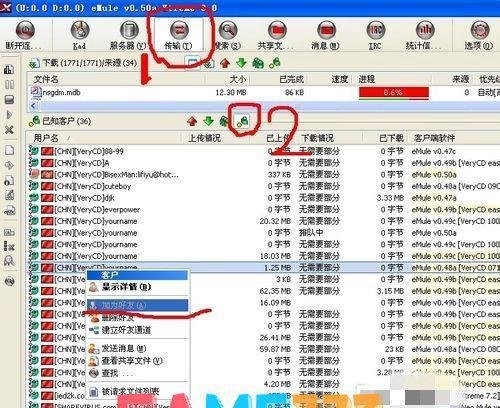电驴怎么搜索共享文件?